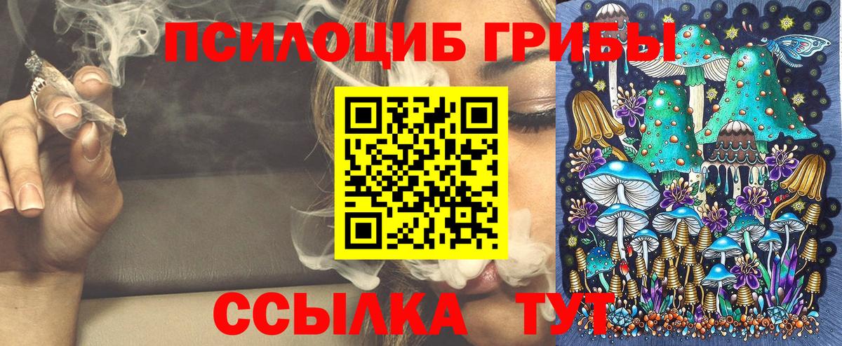 Усть-Джегута  купить наркотик  Вход с VPN  Галлюциногенные грибы прущие грибы 